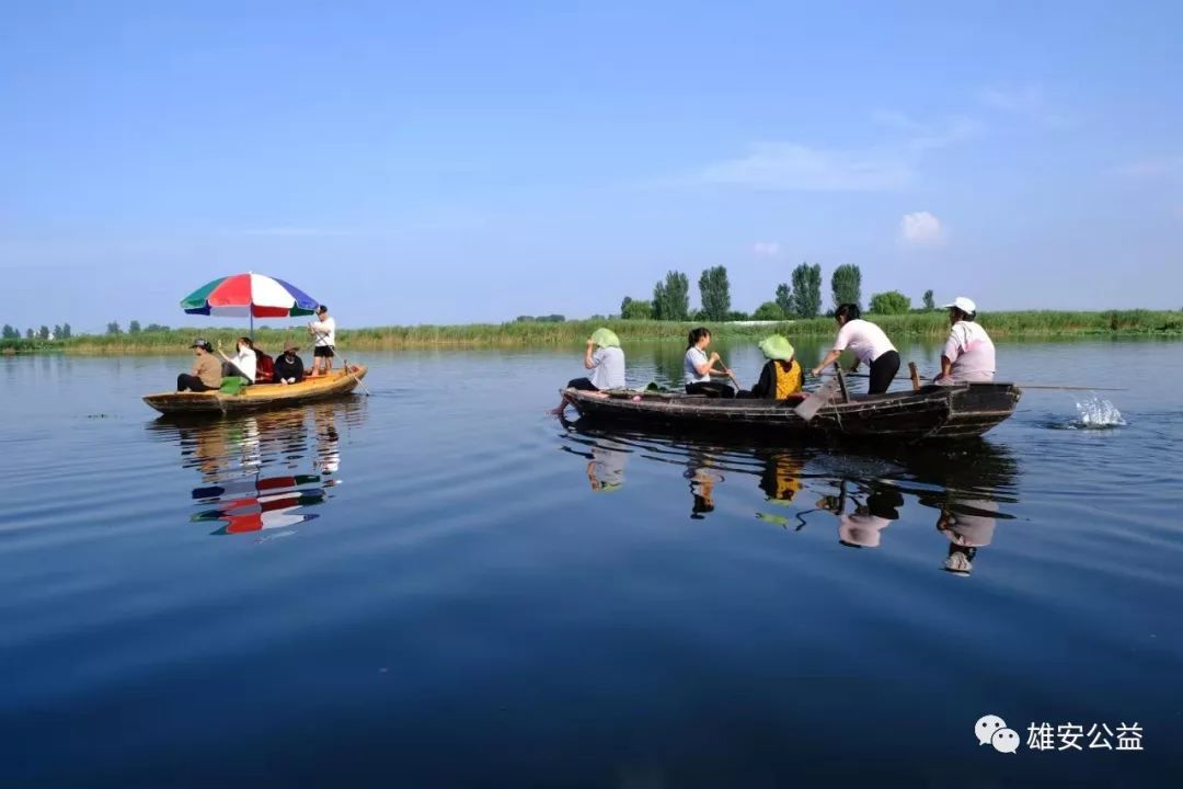 保定雄縣振華撒網(wǎng)直播，自然美景探索之旅直播盛宴