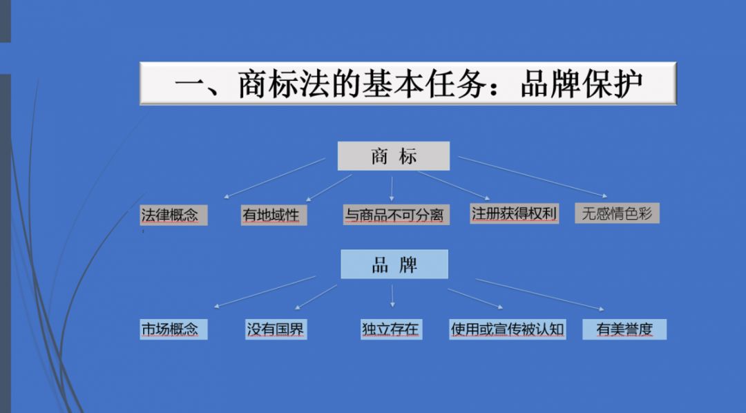 理化直播，探索教育新模式之路