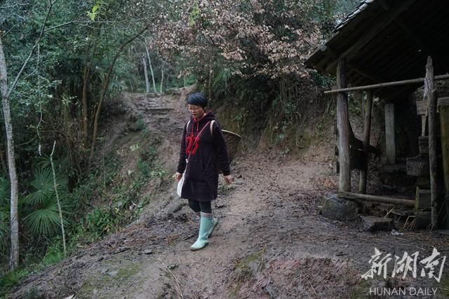 雨鞋直播，時(shí)尚前沿的科技魅力，提升生活品質(zhì)的體驗(yàn)引領(lǐng)者