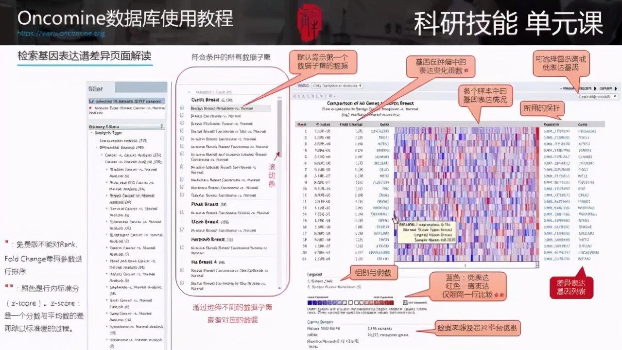 新奧門最全精準資料庫，OIL68.168自助版創(chuàng)新方案制定