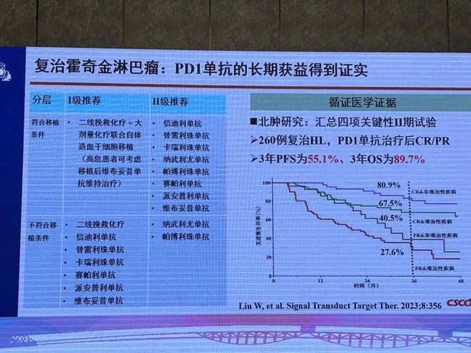 2024澳門免費(fèi)料庫精準(zhǔn)指南，策略解析攻略_IKD清新版