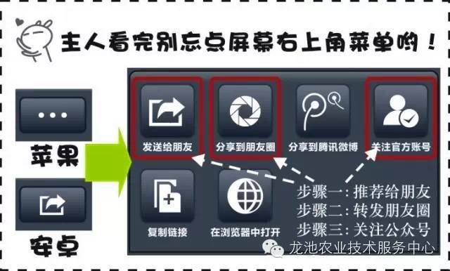 2024新澳正版資料免費(fèi)分享，詳盡解析與實(shí)施指南_WSL 4.73.26專用版