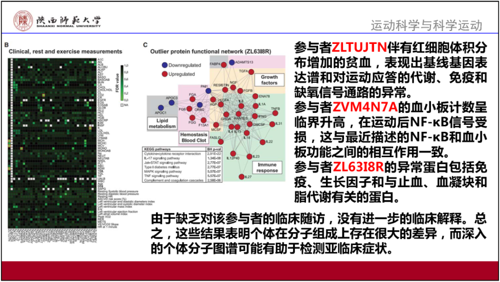 2024澳門資料寶典詳析：精準方案解讀及PRN3.66.33定義版指南