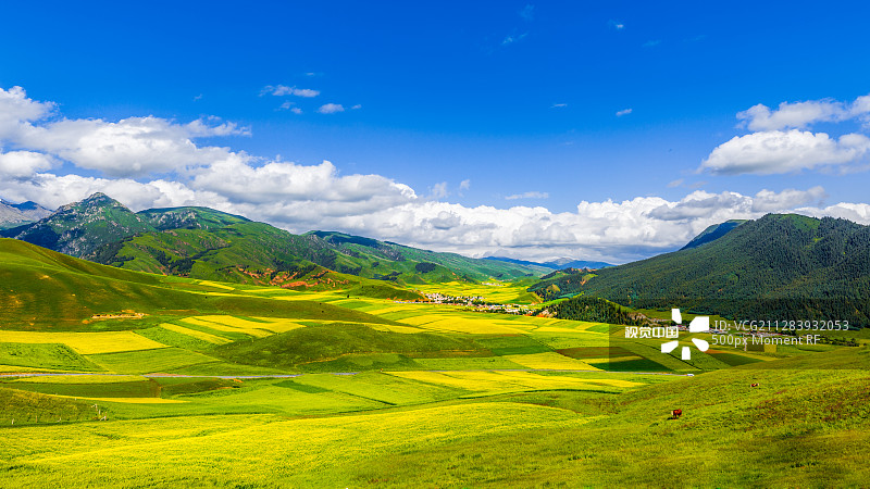 蔡成直播，與自然美景的邂逅，探索內(nèi)心寧靜之旅