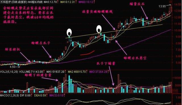 “香港頂級預(yù)測：100%精準(zhǔn)肖一肖，揭秘安全設(shè)計策略_NGR849.94”