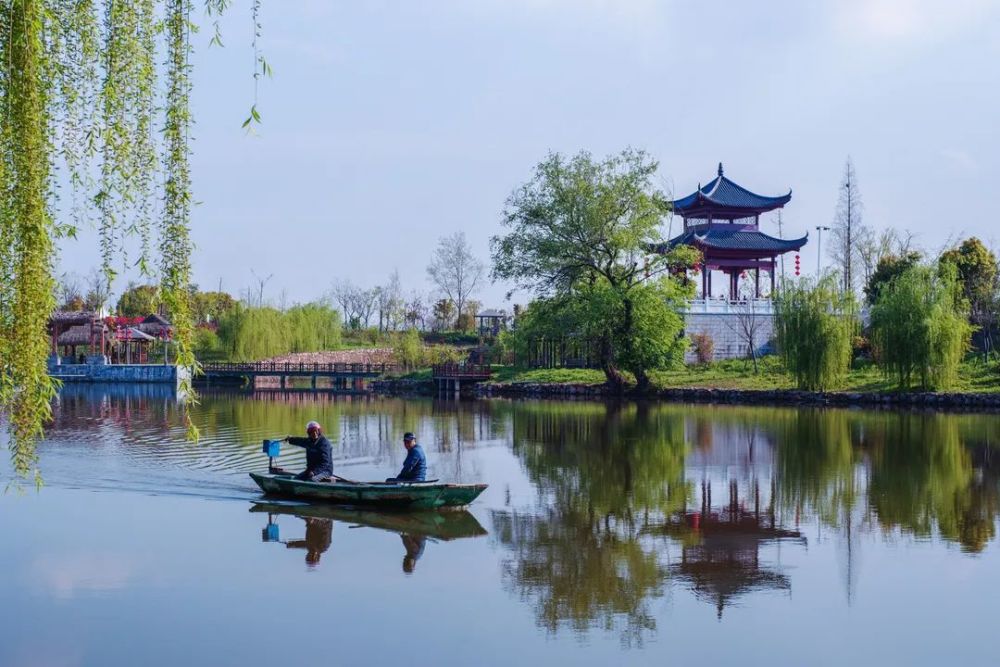 盤城街道最新動(dòng)態(tài)概覽，綠意盎然傍晚的發(fā)展新貌