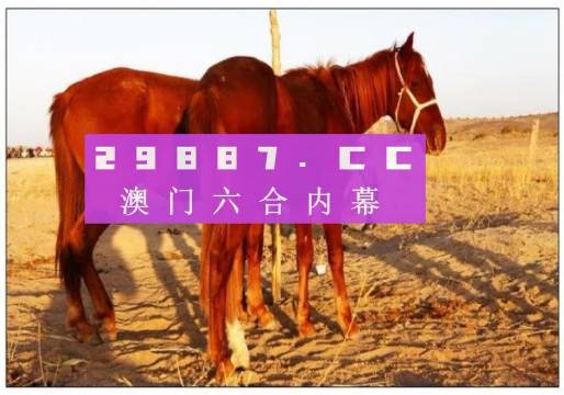 澳門每日彩開獎(jiǎng)精準(zhǔn)龍門客棧，熱門圖庫解析_簡易版JVB592.23