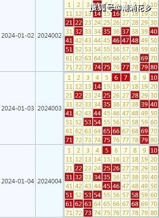 2024天天彩官方資料匯編，全面評估準則_IQV值491.57