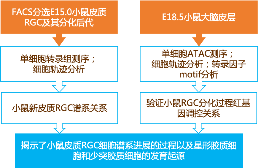 婁瑞雪 第2頁