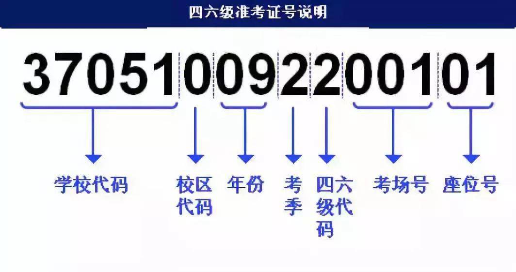 49218.соm查詢新澳開(kāi)獎(jiǎng)結(jié)果,快速解答方案設(shè)計(jì)_PTH13.729社交版