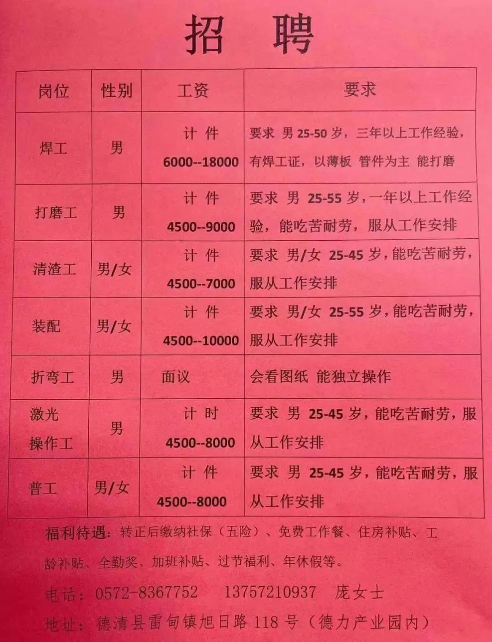 高青企業(yè)最新招工信息，小巷里的隱藏寶藏，探索就業(yè)機(jī)會(huì)！