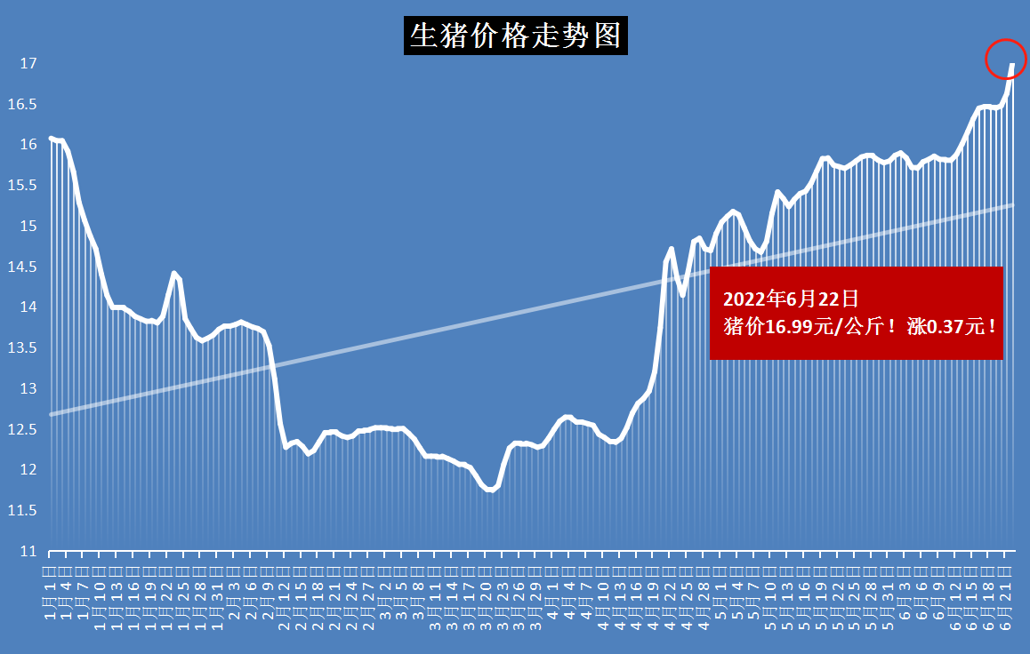 河南生豬價(jià)格今日最新動(dòng)態(tài)，智能畜牧科技引領(lǐng)新紀(jì)元