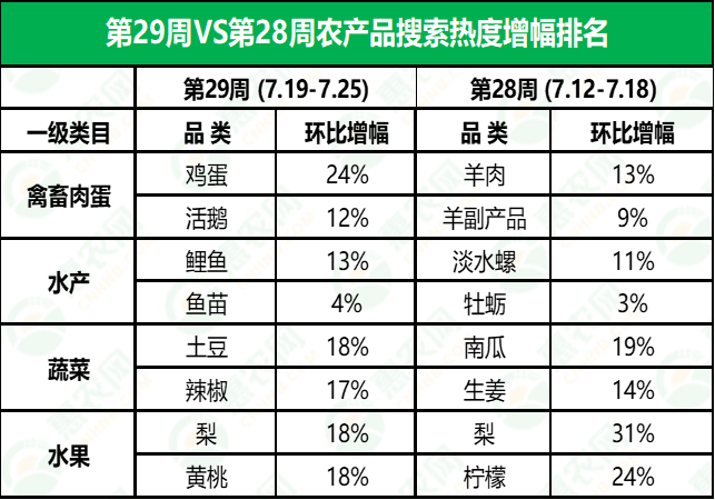 金鄉(xiāng)鮮大蒜最新行情揭秘，小巷深處的蒜香寶藏與價(jià)格走勢(shì)分析