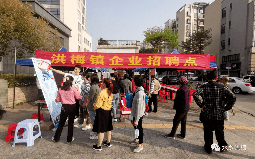 洪瀨最新招聘論壇，溫暖日常的招聘交流之地