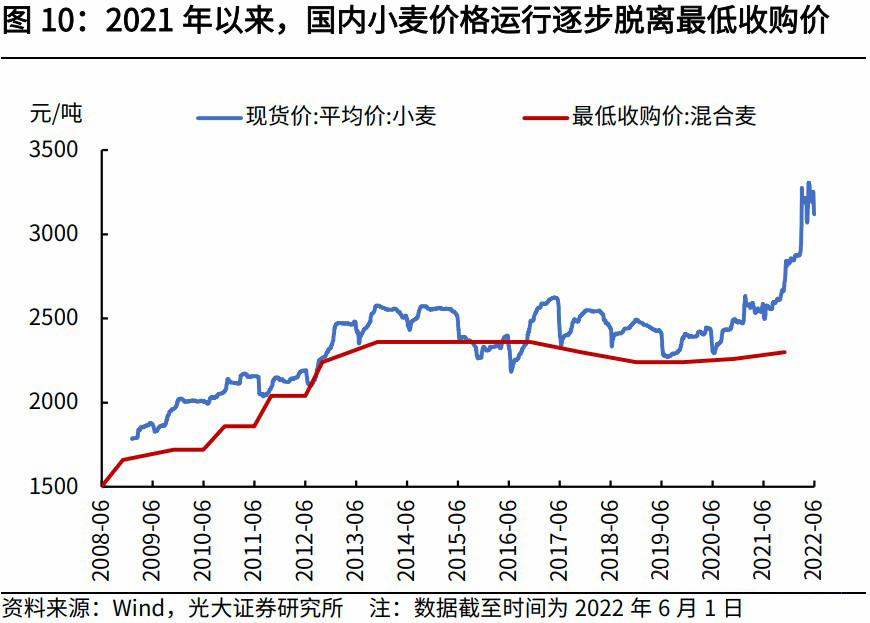 科技引領未來，小麥市場最新行情分析，洞悉小麥價格動態(tài)