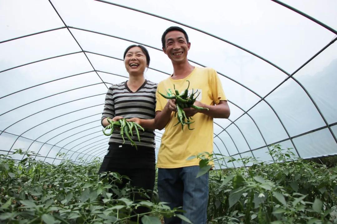 致富經(jīng)最新視頻,致富經(jīng)最新視頻，探索成功的秘訣與財富之路