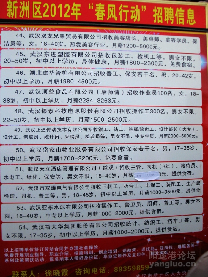 夷陵招聘最新信息，科技引領未來，共筑夢想之門