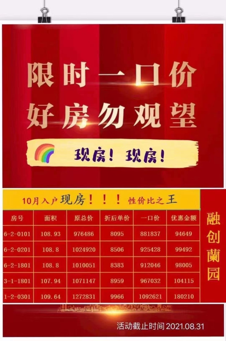 哈慈400044最新公告揭秘，背后的溫馨故事浮出水面