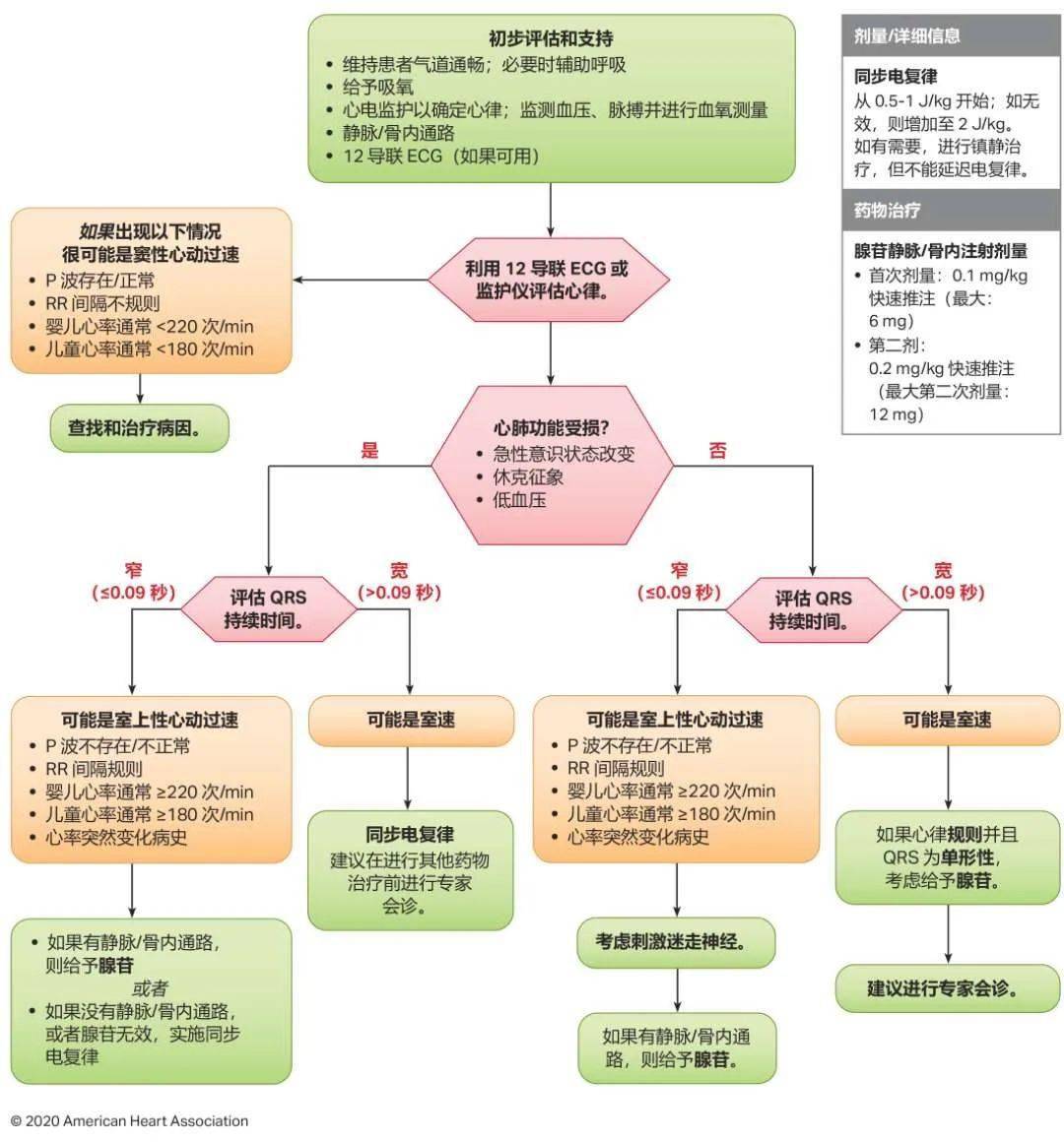 震撼發(fā)布！2024年最新心肺復蘇指南原版詳解與解讀??