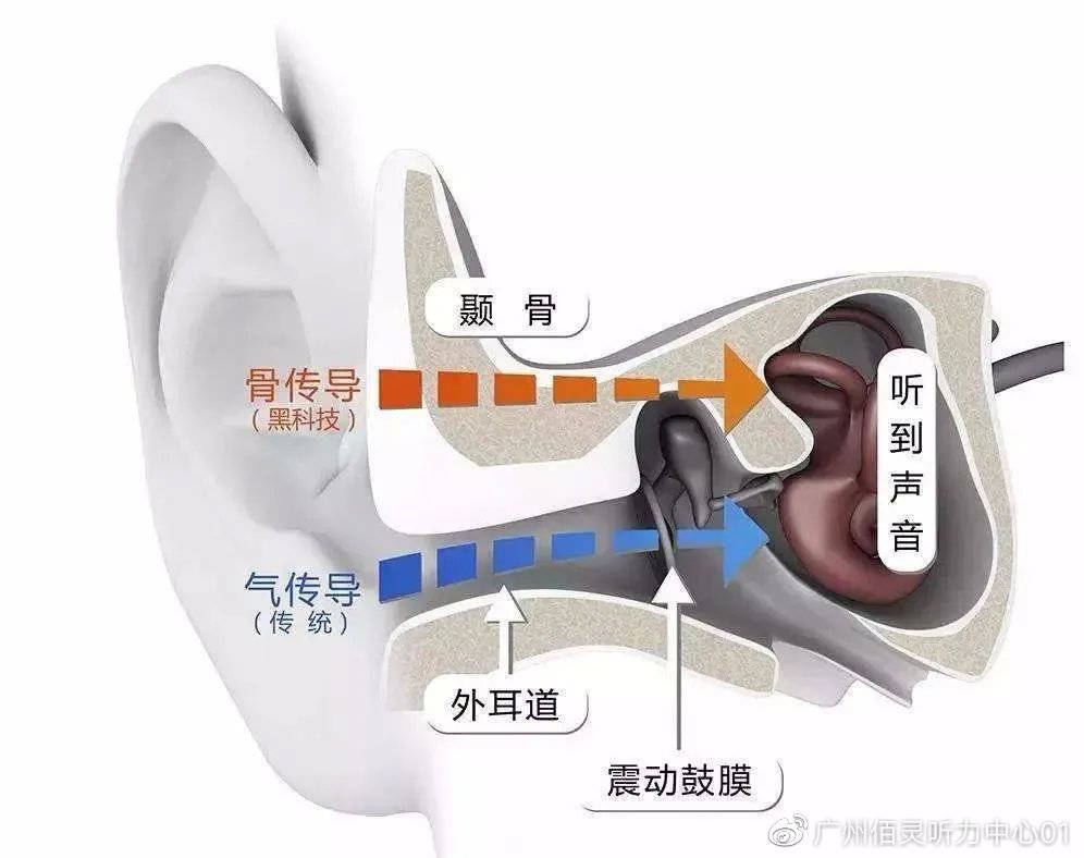 美國(guó)耳蝸的秘密，探秘最新款耳蝸耳機(jī)之旅