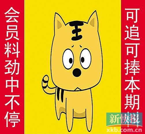 金錢豹自由真功夫最新革新，高科技產(chǎn)品引領(lǐng)未來生活新潮流