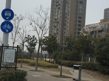 徐州奧體沁園最新價(jià)格,徐州奧體沁園最新價(jià)格的探討