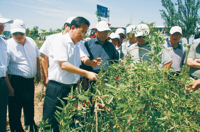 石嘴山蔣文齡，傳奇人物的現(xiàn)代足跡最新信息