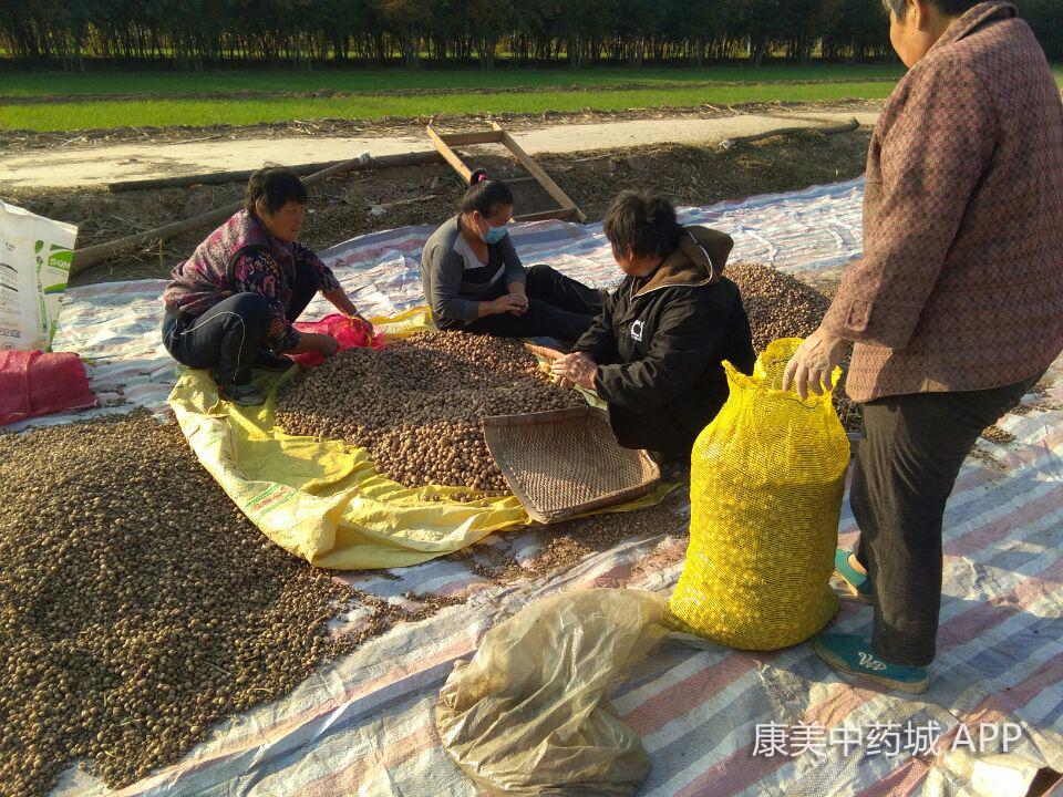 安國(guó)最新房屋出售信息及市場(chǎng)態(tài)勢(shì)深度解析