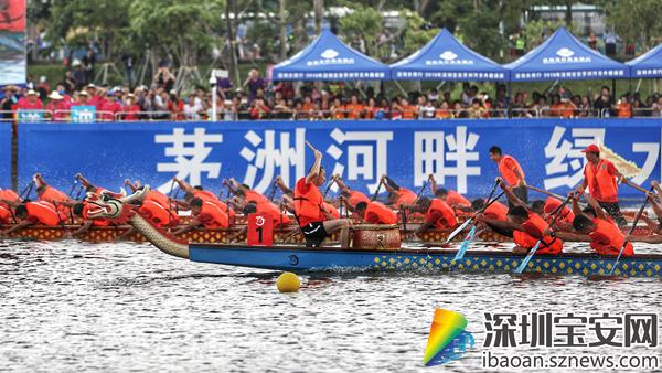 親近自然之旅，2017深圳龍舟比賽的寧靜與激情