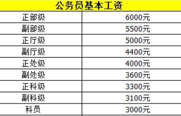 張公務(wù)員工資最新動態(tài)詳解，全面步驟指南與動態(tài)更新分析報告！