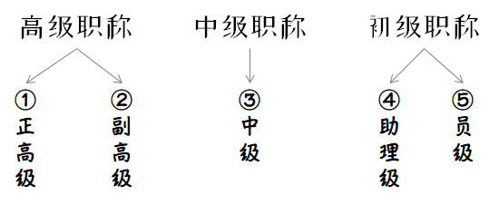 “解析職級并行新規(guī)細(xì)節(jié)”,解析職級并行新規(guī)細(xì)節(jié)——體驗(yàn)未來科技的新里程碑